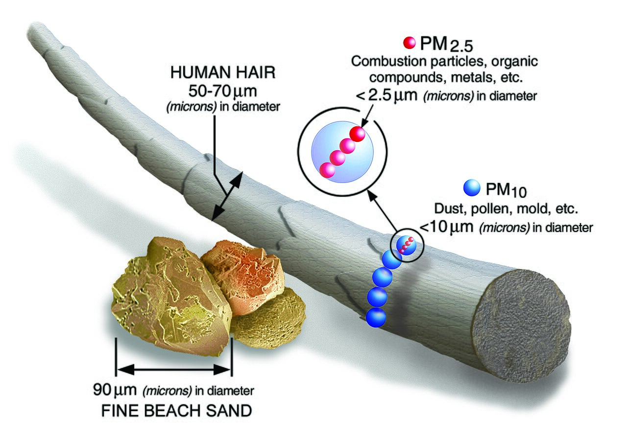 The Air Quality-Health Connection: Breathing Better Every Day